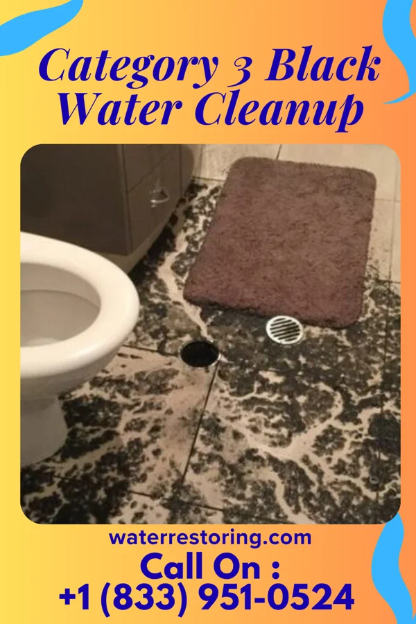 Category 3 Black Water Cleanup in Huttonsville, WV