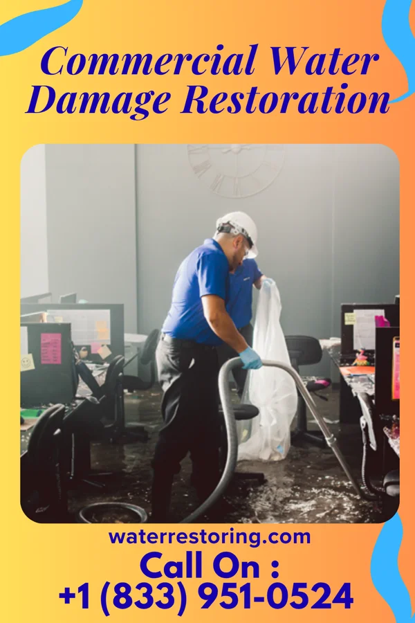 Commercial Water Damage Restoration in Huttonsville, WV