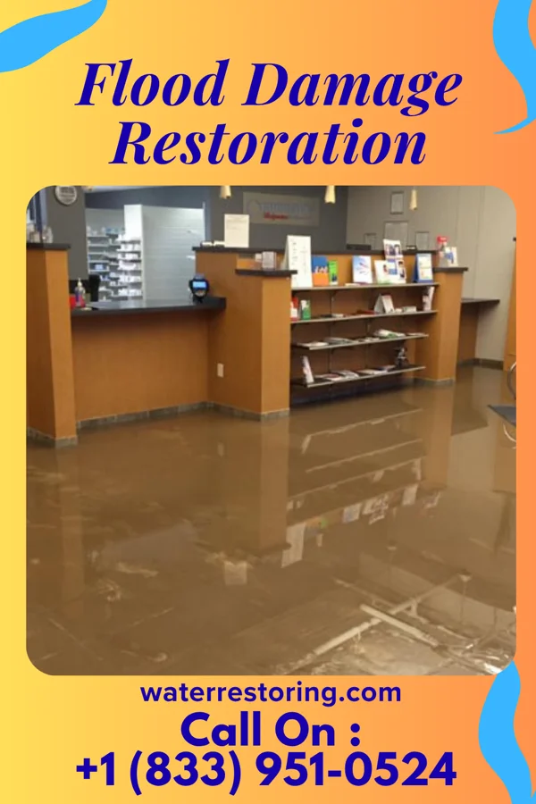 Flood Damage Restoration in Huttonsville, WV