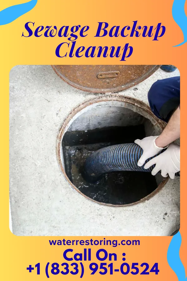 Sewage Backup Cleanup in Huttonsville, WV
