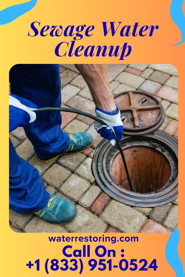 Sewage Water Cleanup in Huttonsville, WV